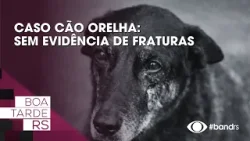 Caso cão Orelha: Sem evidência de fraturas Caso cão Orelha: Sem evidência de fraturas