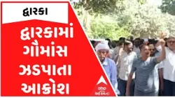 Dwarka | દ્વારકામાં ગૌમાંસ ઝડપાતા આક્રોશ, મોટી સંખ્યામાં લોકો રેલીમાં જોડાયા Dwarka | દ્વારકામાં ગૌમાંસ ઝડપાતા આક્રોશ, મોટી સંખ્યામાં લોકો રેલીમાં જોડાયા