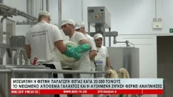 Μειωμένη η παραγωγή φέτας κατά 20000 τόνους