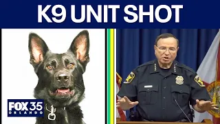 Fmr. investigator reacts to Polk Co. K9 unit shot during Florida arrest