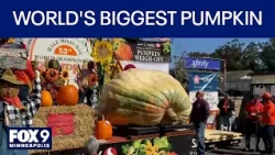 Minnesota pumpkin grower wins 5th world title with 2,389-pound pumpkin