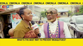 What's the best way to prevent mosquitoes? - Omonla Voxpop