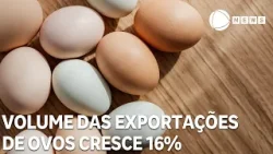 Volume das exportações brasileiras de ovos cresce 16%