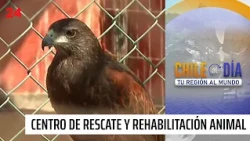Chile Today: Antofagasta 10/07/2026