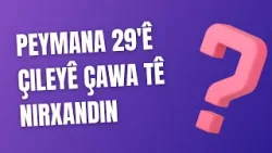 Rojnamevan Ronî Eylem, li ser êriş û dorpêça li ser Rojava, peymana 29'ê Çileyê nirxandin kir.