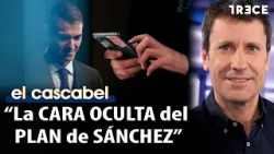 Efecto Love Joy: "El nuevo plan de Sánchez usa la protección de los niños como escudo" | El Cascabel