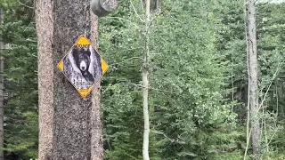 Man airlifted from Boulder County mountains not attacked by bear, officials say