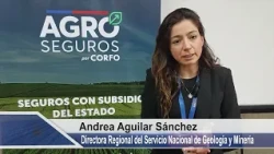Impulsan crear seguro paramétrico para proteger a productores ante una eventual erupción del volcán
