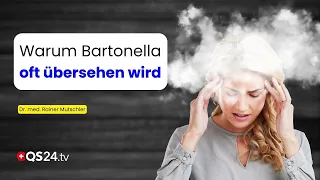 Bartonella: The bacteria that can mimic "rheumatism," brain fog, and exhaustion | QS24