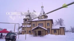 Письма из провинции. 29 января 2026