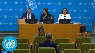“Earth’s Missing Treaty”: A Historic Opportunity for Disaster Assistance - Press Conference | UN