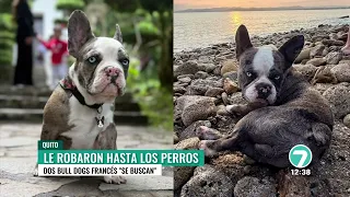 LOS PILLOS ENTRARON A SU CASA Y ROBARON HASTA LOS PERROS