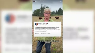 Pingree criticizes Trump administration's decision to ease beef tariffs