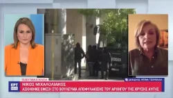 Ν. Μιχαλολιάκος: Ασκήθηκε έφεση κατά του βουλεύματος αποφυλάκισης | 08/05/2024 | ΕΡΤ