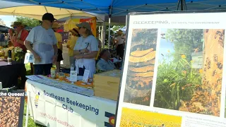 Beekeepers continue to be impacted by colony losses