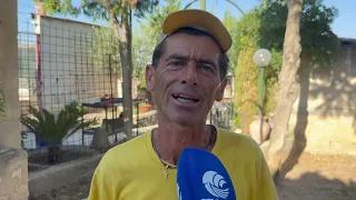 Era una piccola pensione amatoriale, oggi conta 350 cani: la storia del canile-rifugio di Altamura