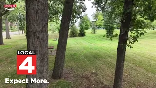 Dearborn residents concerned sewer project could cost dozens of oak trees