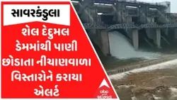 Amreli News | સાવરકુંડલાના શેલ દેદુમલ ડેમમાંથી પાણી છોડાતા નીચાણવાળા વિસ્તારોને કરાયા એલર્ટ