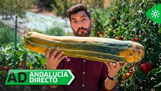 Andalucía Directo | Viernes 28 de agosto