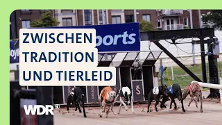 Der Kampf gegen die Rennindustrie: So sehr leiden Pferde & Hunde | Tiere suchen ein Zuhause | WDR