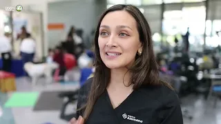 Specialized dogs help manage chronic pain with a pioneering therapy in Chile