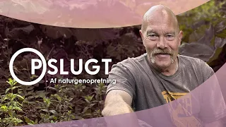 Opslugt - Af naturgenopretning