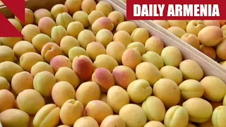 EU adopts trade relief package for Armenia