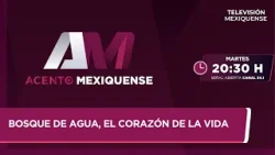 Bosque de Agua, el corazón de la vida | Acento Mexiquense | 24-03-2026