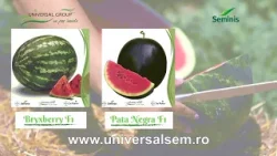 Agricultura la raport O Ghinea P1 07 04 2026