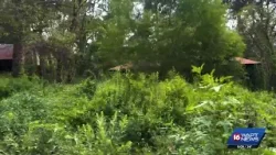 Jackson Housing Task Force urges reforms to stabilize rental market, boost development