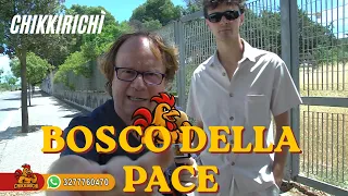 CHIKKIRICHI - BOSCO DELLA PACE