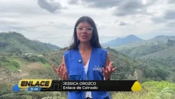 Rural Internet in Ibagué: A community network connects families | Enlace Trece Flash
