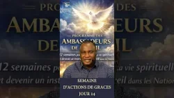 JOUR 14 - BIEN TERMINER ! - SEMAINE D'ACTIONS DE GRACES - Programme des Ambassadeurs de Réveil