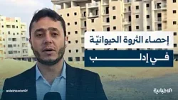 مراسل الإخبارية في إدلب يتحدث عن عمليات إحصاء الثروة الحيوانية بالمحافظة وأهمية ذلك في تعزيز الإنتاج