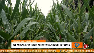 Easing Financial Access For Tobago's Farmers, Fisherfolk And Agro-Processors