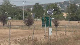 Nagy kihívás megelőzni a vadkárokat