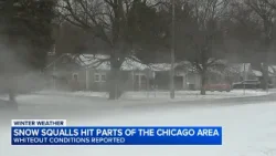 Winter Storm Warning in effect for parts of Chicago area