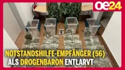 Notstandshilfe-Empfänger (56) als Drogenbaron entlarvt