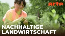Wie wir uns ernähren | Europa. Kontinent im Umbruch | Doku HD Reupload | ARTE