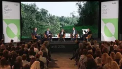 В связи с 25-летием CDP Европа занимает лидирующую позицию в борьбе с изменением климата.