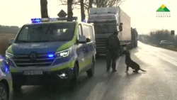 Nowizna, zderzenie trzech pojazdów