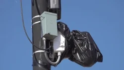Latest News | Siloam Springs covers Flock cameras with plastic bags