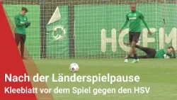 Nach der Länderspielpause: Kleeblatt vor dem Spiel gegen den HSV