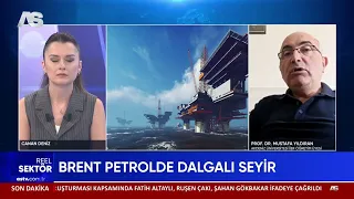 PROF. DR. MUSTAFA YILDIRAN / REAL SECTOR