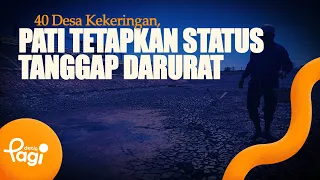 [detikPagi] - 40 Villages Hit by Drought, Pati Declares Emergency Response Status
