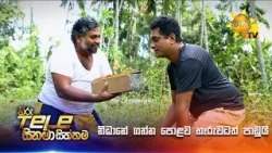 නිධානේ ගන්න පොළව හෑරුවටත් පාඩුයි
