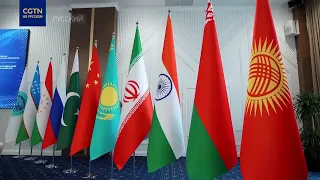 Депутат Госдумы: организация позволяет разным государствам создавать безопасное будущее через диалог