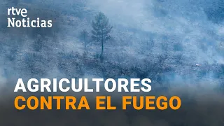 Guadalajara Wildfire | Over 80 farmers fight flames by creating firebreaks | RTVE