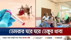 ডেমরার ঘরে ঘরে ডেঙ্গু রোগী; মশক নিধন কার্যক্রম নিয়ে এলাকাবাসীর ক্ষোভ | Dengue | News | Jamuna TV