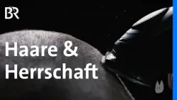 Haare und Freiheit: Wie Verbote Protest und Revolution auslösen | Capriccio | BR